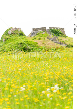 「青森県」初夏の花咲く葦毛崎の風景・種差海岸 127618528