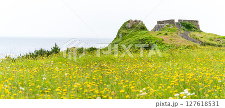 「青森県」初夏の花咲く葦毛崎の風景・種差海岸 127618531