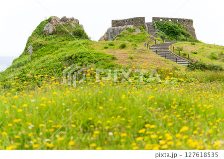 「青森県」初夏の花咲く葦毛崎の風景・種差海岸 127618535