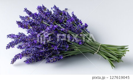 bunch of lavender flowers on white background 127619045