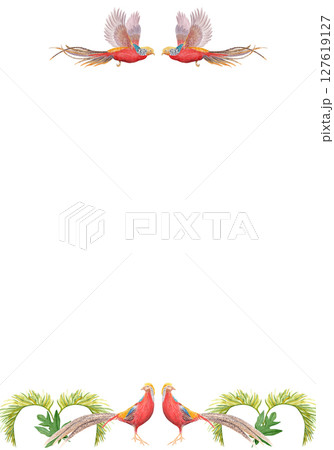 Watercolor frame with golden pheasant, tropical leaves. Elegant border for wedding invitation, menu, greeting card, certificate or summer event. Red exotic birds and green foliage on white background Watercolor frame with golden pheasant, tropical leaves. Elegant border for wedding invitation, menu, greeting card, certificate or summer event. Red exotic birds and green foliage on white background 127619127