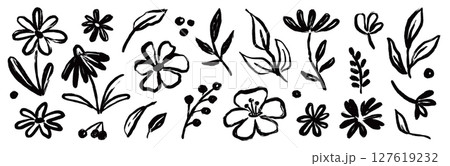 Flower brush hand drawn vector set. Hand drawn doodle flower, floral leaf elements in brush stroke ink style. Simple abstract botanical silhouette set for nature black paint art. Vector Flower brush hand drawn vector set. Hand drawn doodle flower, floral leaf elements in brush stroke ink style. Simple abstract botanical silhouette set for nature black paint art. Vector 127619232