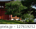 初夏の興福寺境内 127619252
