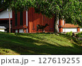初夏の興福寺境内 127619255