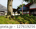 初夏の興福寺境内 127619256