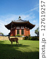 初夏の興福寺境内 127619257