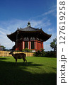 初夏の興福寺境内 127619258