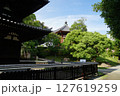 初夏の興福寺境内 127619259