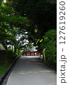 初夏の興福寺境内 127619260