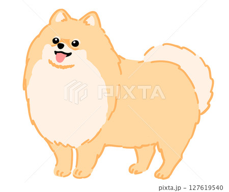 ポメラニアンのイラスト 127619540