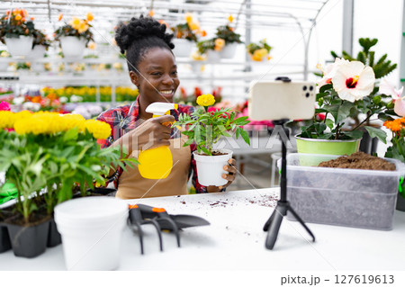 An African American woman sprays a plant while filming a gardening tutorial in a greenhouse. An African American woman sprays a plant while filming a gardening tutorial in a greenhouse. 127619613