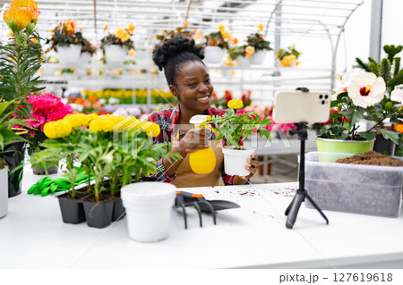 An African American woman in a greenhouse smiles while showing a plant on camera, spraying it with water from a yellow bottle. An African American woman in a greenhouse smiles while showing a plant on camera, spraying it with water from a yellow bottle. 127619618