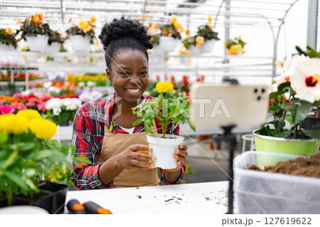 A smiling Black woman holds a potted plant, recording a video in a vibrant greenhouse filled with colorful flowers. 127619622