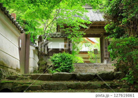 新緑の勝持寺 新緑の勝持寺 127619861