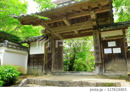 新緑の勝持寺 新緑の勝持寺 127619865