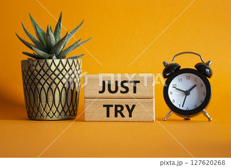 Just try symbol. Concept words Just try on wooden blocks. Beautiful orange background with alarm clock and succulent plant. Business and Just Try concept. Copy space. Just try symbol. Concept words Just try on wooden blocks. Beautiful orange background with alarm clock and succulent plant. Business and Just Try concept. Copy space. 127620268