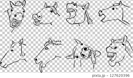 ファニーな馬の顔セット 127620396