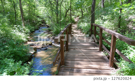 wooden bridge in the forest 127620824