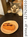 コロッケを狙う猫 127620850