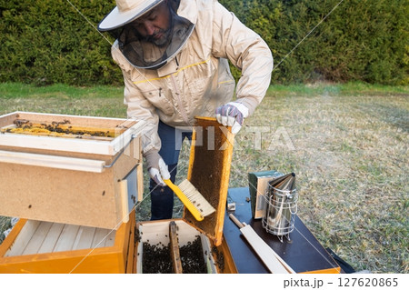 Beekeeper Inspecting Honeycomb Frame with Brush in Apiary for Honey Production Beekeeper Inspecting Honeycomb Frame with Brush in Apiary for Honey Production 127620865