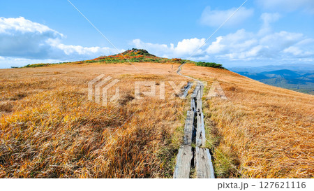 秋の栗駒山登山（栗駒山～秣岳：しろがね湿原） 127621116