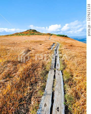秋の栗駒山登山（栗駒山～秣岳：しろがね湿原） 127621118