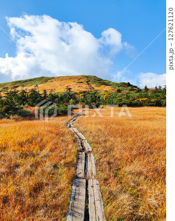 秋の栗駒山登山(栗駒山~秣岳:しろがね湿原) 秋の栗駒山登山(栗駒山~秣岳:しろがね湿原) 127621120