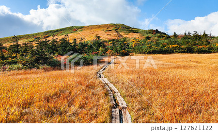秋の栗駒山登山（栗駒山～秣岳：しろがね湿原） 127621122