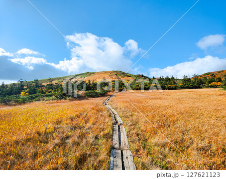 秋の栗駒山登山（栗駒山～秣岳：しろがね湿原） 127621123