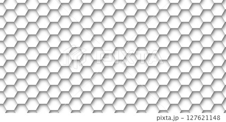 シルエット 六角形 和柄 背景 シルエット 六角形 和柄 背景 127621148