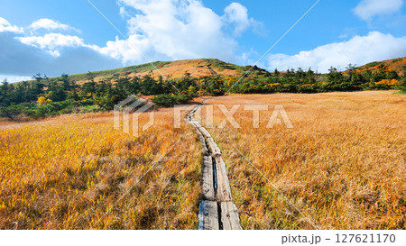 秋の栗駒山登山（栗駒山～秣岳：しろがね湿原） 127621170