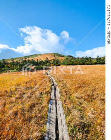 秋の栗駒山登山(栗駒山~秣岳:しろがね湿原) 秋の栗駒山登山(栗駒山~秣岳:しろがね湿原) 127621171