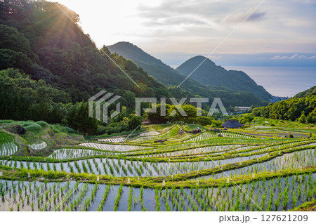 【静岡県松崎町】石部の灯り2025（キャンドル点火） 127621209