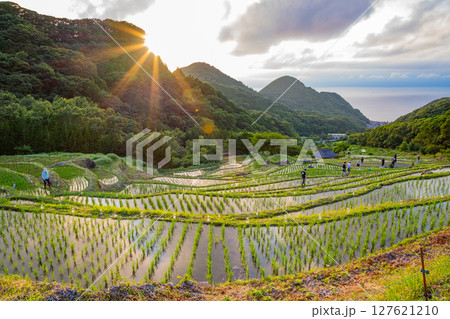 【静岡県松崎町】石部の灯り2025(キャンドル点火) 【静岡県松崎町】石部の灯り2025(キャンドル点火) 127621210