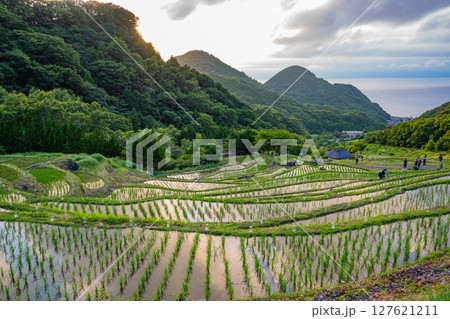 【静岡県松崎町】石部の灯り2025(キャンドル点火) 【静岡県松崎町】石部の灯り2025(キャンドル点火) 127621211