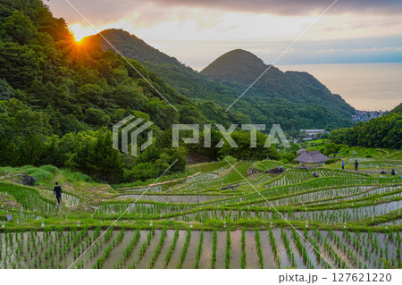 【静岡県松崎町】石部の灯り2025(キャンドル点火) 【静岡県松崎町】石部の灯り2025(キャンドル点火) 127621220