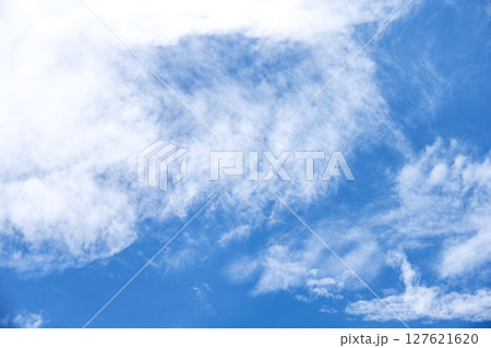 初夏の空 夏 青空 晴れ 6月 【神奈川県 秦野市】 127621620