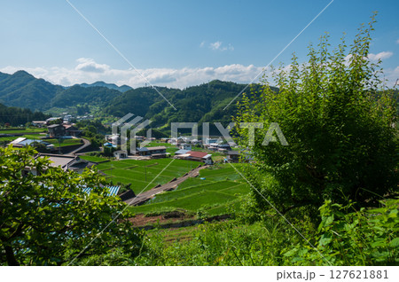 夏の里山　秋山村の原風景　富岡の棚田 127621881