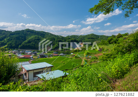 夏の里山 秋山村の原風景 富岡の棚田 夏の里山 秋山村の原風景 富岡の棚田 127621882