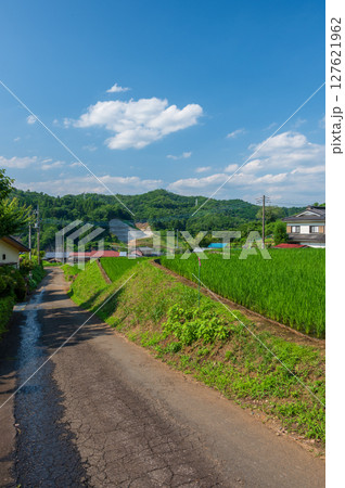 秋山の農村風景 富岡の棚田 秋山の農村風景 富岡の棚田 127621962