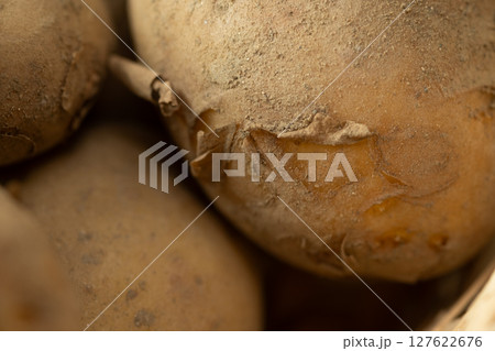 新じゃがのアップイメージ　(写真素材)　 127622676