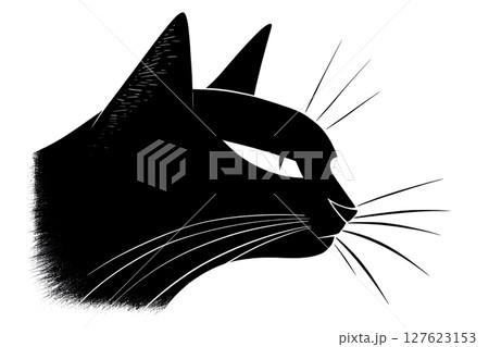 黒猫の2D白黒のハイコンイラスト 127623153