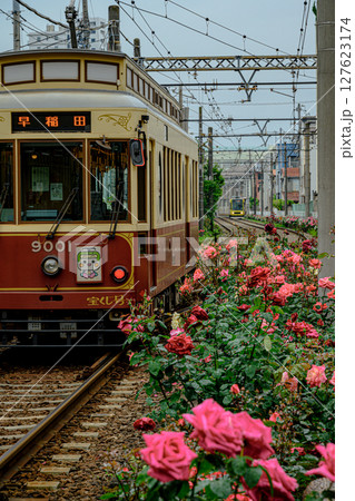 薔薇と電車（都電荒川線三ノ輪橋停留場） 127623174