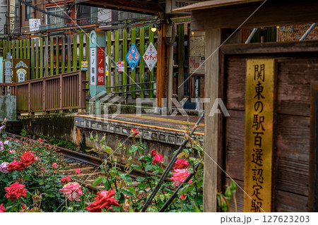 薔薇と停留場（都電荒川線三ノ輪橋停留場） 127623203