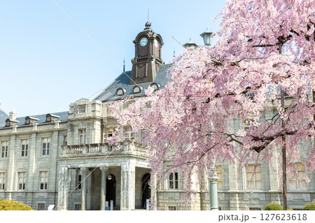 シダレザクラと文翔館 127623618