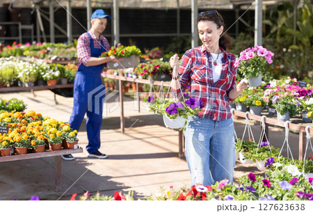 Woman choosing potted Petunia flowers for house while shopping in greenhouse Woman choosing potted Petunia flowers for house while shopping in greenhouse 127623638