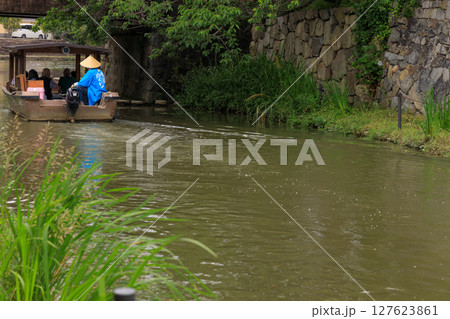 滋賀県近江八幡の水郷の初夏の風景 127623861