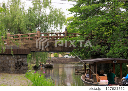 滋賀県近江八幡の水郷の初夏の風景 127623862