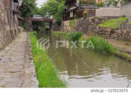 滋賀県近江八幡の水郷の初夏の風景 滋賀県近江八幡の水郷の初夏の風景 127623870