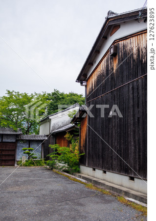 滋賀県近江八幡の水郷の初夏の風景 滋賀県近江八幡の水郷の初夏の風景 127623895
